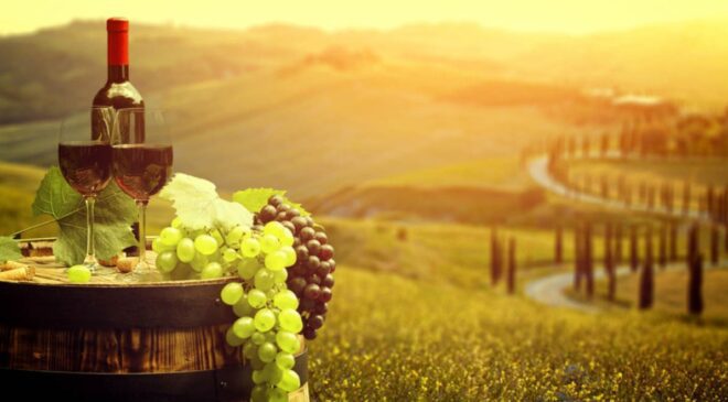 vino