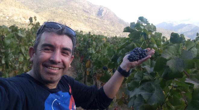 vino estrella