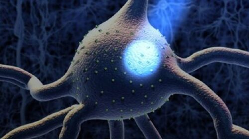 Optogenetica